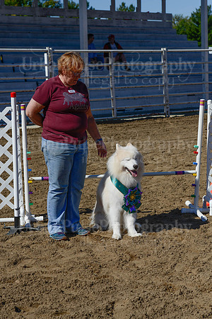 AGILITY-2241