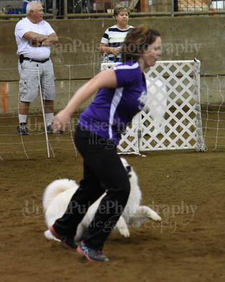 SCA2016_AG MON FAST NOVICE-0112