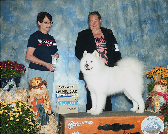 KEATS SELECT DOG 2015