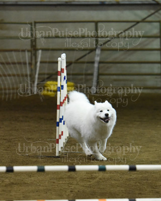 SCA2016_AG MON JWW NOVICE-1192