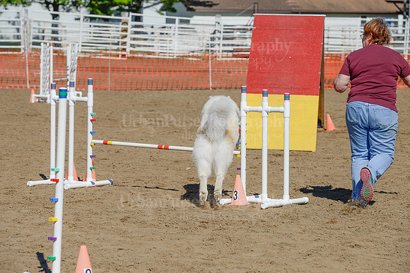 AGILITY-2227
