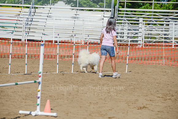 AGILITY-2260