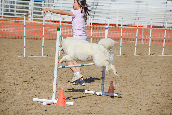 AGILITY-2255