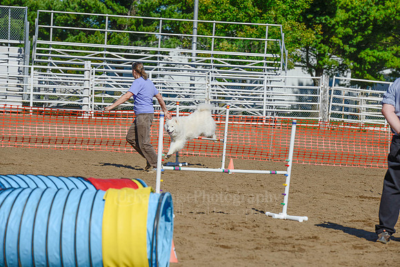 AGILITY-2105