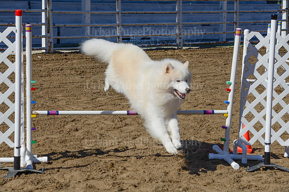 AGILITY-2237