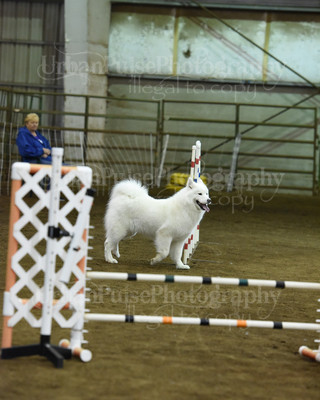 SCA2016_AG MON JWW NOVICE-1189
