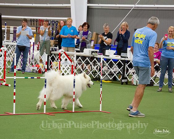 AGILITY_9517
