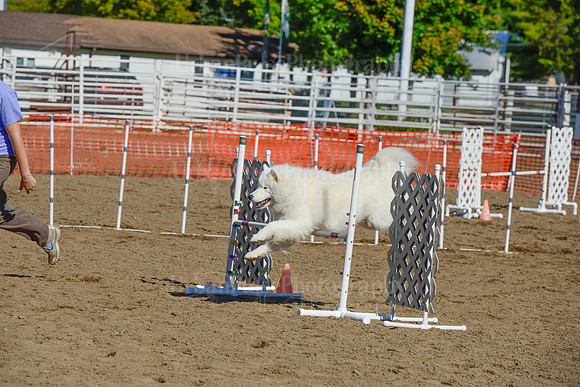 AGILITY-2113