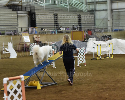 SCA2016_AG MON FAST NOVICE-0121