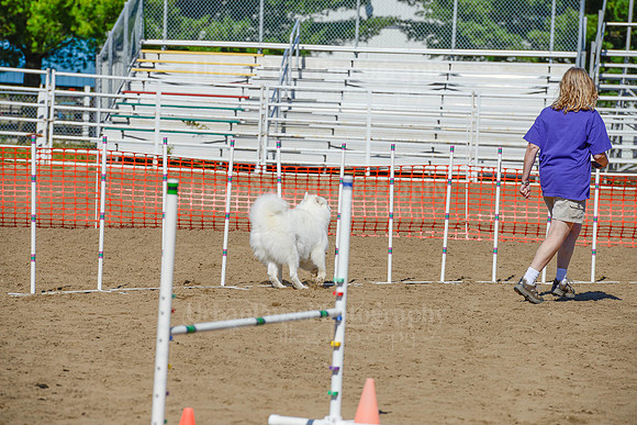 AGILITY-2301