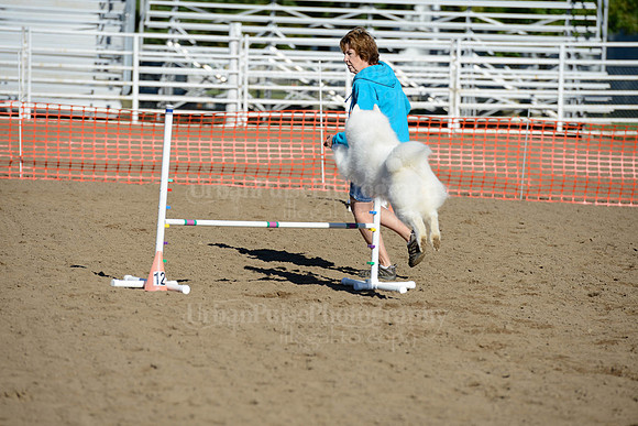 AGILITY-1880