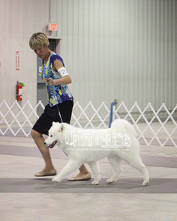 Fargo_2011-4300