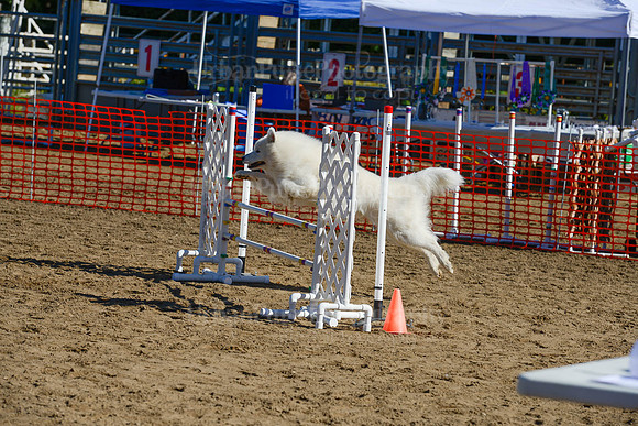 AGILITY-2016
