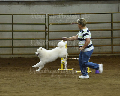SCA2016_AG MON JWW NOVICE-1187