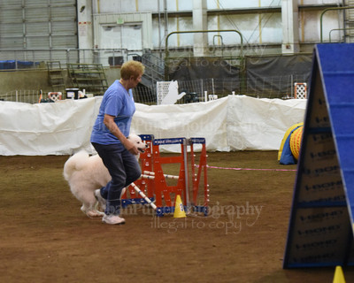 SCA2016_AG MON FAST NOVICE-0074
