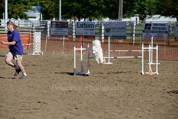 AGILITY-1909
