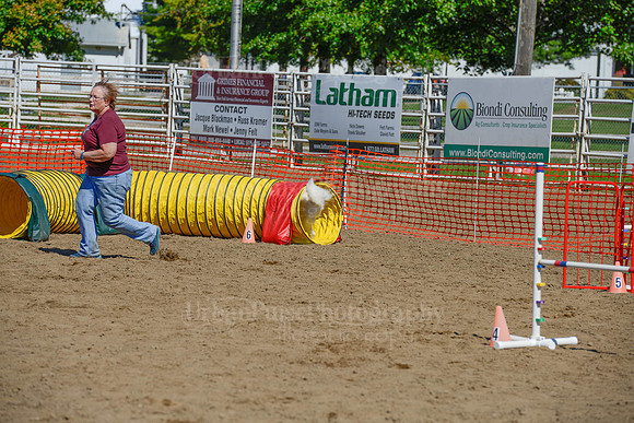 AGILITY-2317
