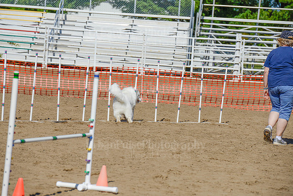 AGILITY-2398