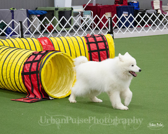 AGILITY_9513