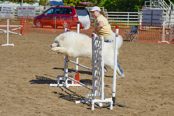 AGILITY-2361