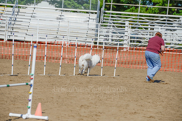AGILITY-2326