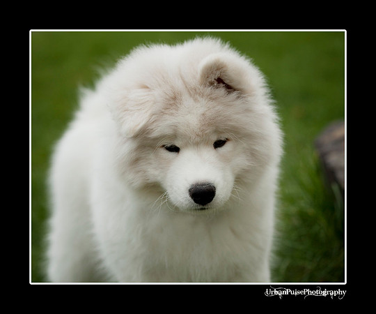 GreenBoy_10wks_web_0576