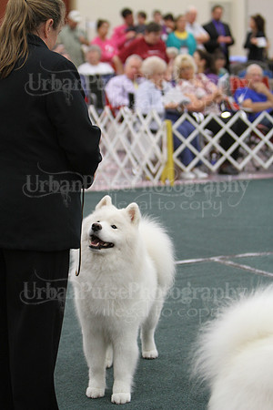 D BOB GR4-3801 2014 SCA National