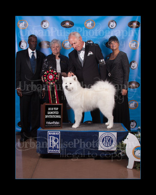 2016 TOP S AWARD-8540