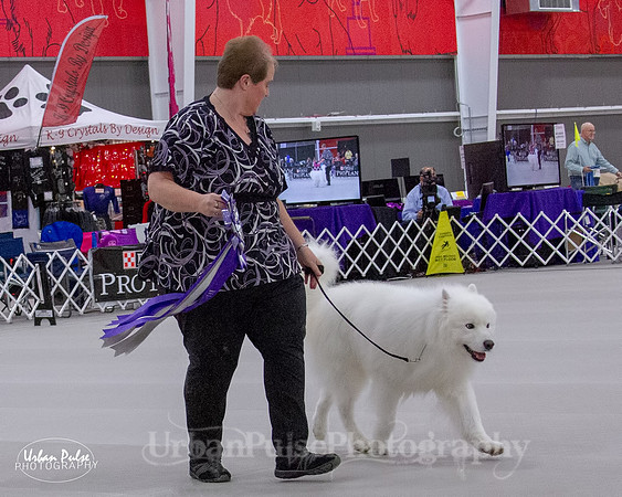 JILL PARADE SCA 2018-9992