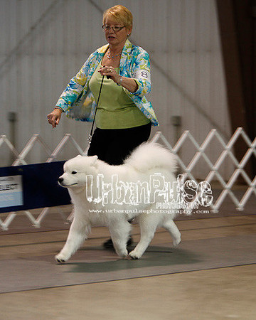 Fargo_2011-3627