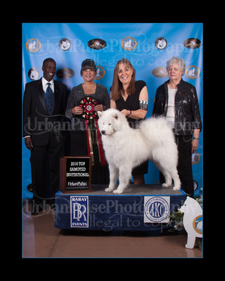 2016 TOP S AWARD-8519