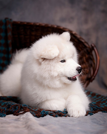 GreenBoy_10wks_16x20_0634