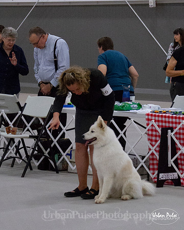 HEX SCA 2018_9526