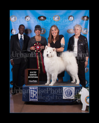 2016 TOP S AWARD-8521