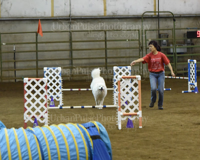 SCA2016_AG MON JWW NOVICE-1199