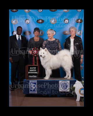 2016 TOP S AWARD-8523