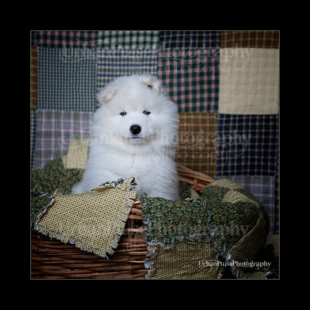 PurpleBoy_6weeks_0319