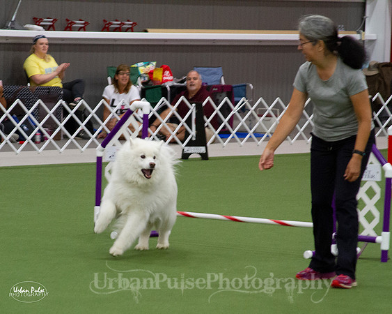 AGILITY_9441