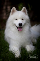 Marlowe_0055