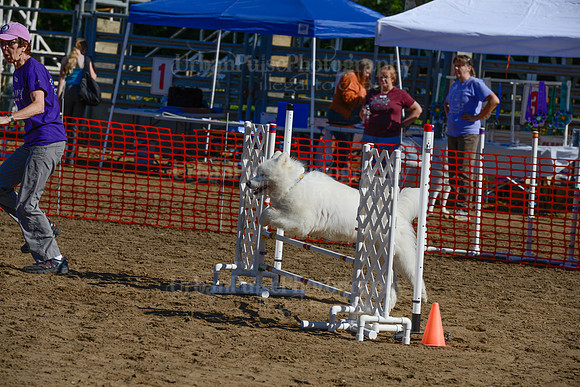 AGILITY-2180