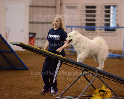 SCA2016_AG MON FAST NOVICE-3550