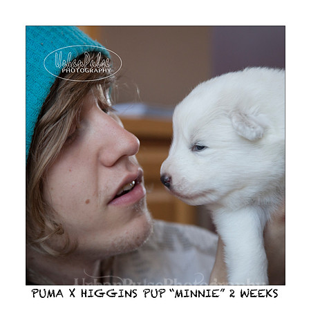 MINNIE_2WEEKS_3454