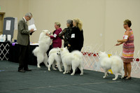 D OPEN-5498 2014 SCA National - 3rd PL