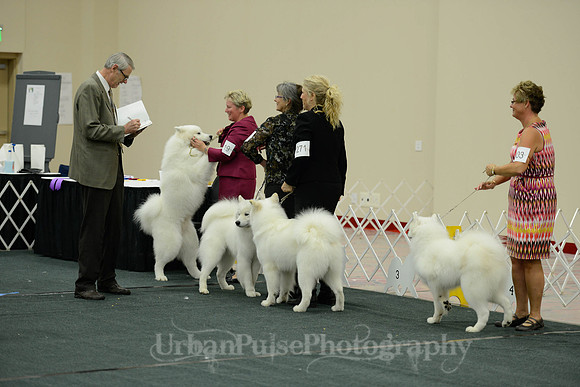 D OPEN-5498 2014 SCA National - 3rd PL