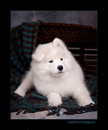 GreenBoy_10wks_web_0627