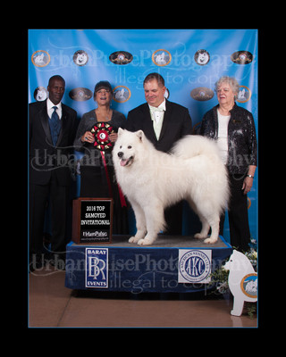 2016 TOP S AWARD-8531