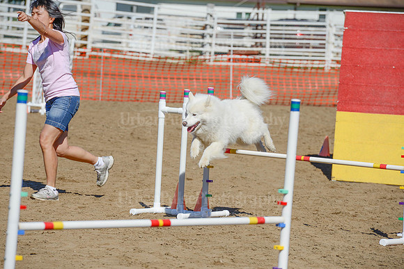 AGILITY-2254