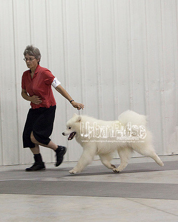 Fargo_2011-4223