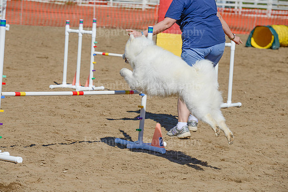 AGILITY-2274