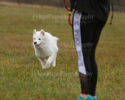 SCA2016_LURE COURSING-7729
